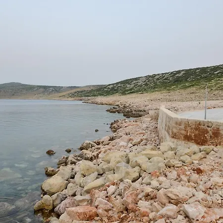 Olive 2 * Ζαντάρ