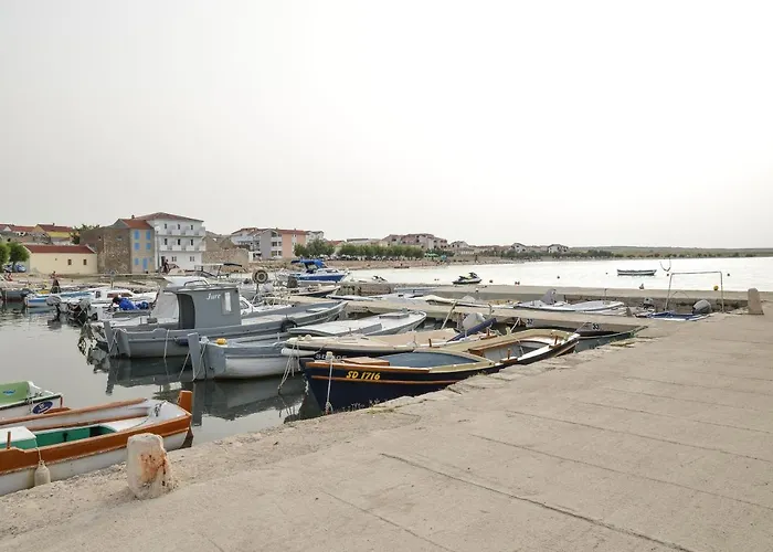 Olive 2 Zadar