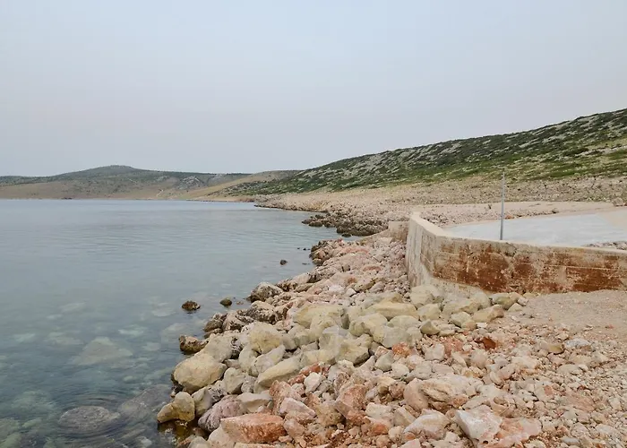 Olive 2 * Zadar