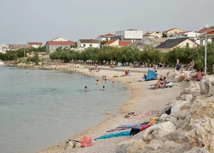 Olive 2 Zadar