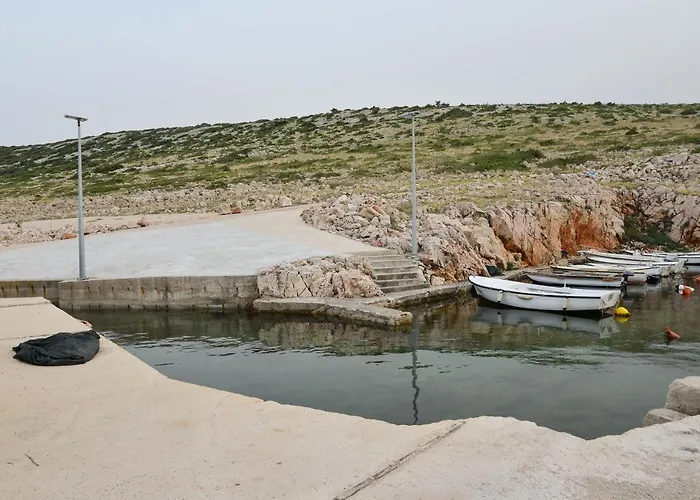 Olive 2 Zadar
