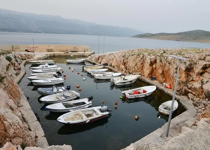 Olive 2 Zadar