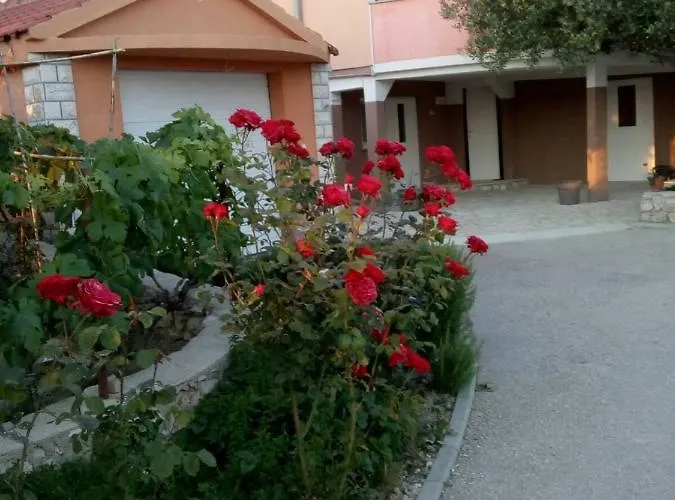 Apartment Olive 2 Zadar